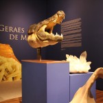Uma grande diversidade de minerais apresentadas na exposição.
