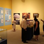 Maquetes, fósseis originais e objetos de época.