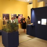 Grande acervo pode ser conferido na exposição.