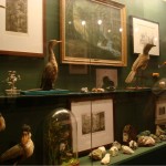 Itens de botânica, zoologia e mineralogia.